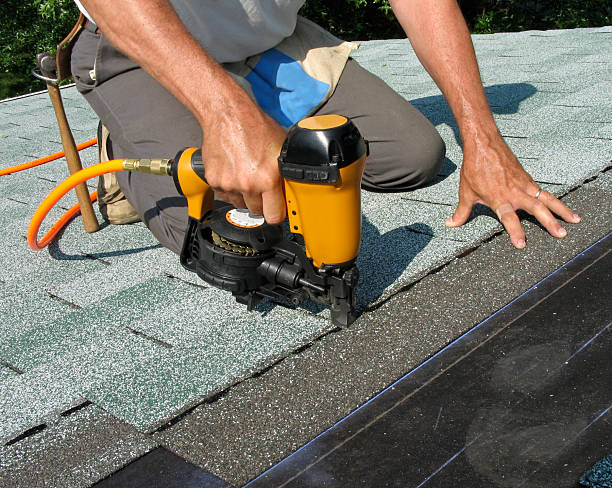 Best Roof Gutter Cleaning  in Sleepy Eye, MN